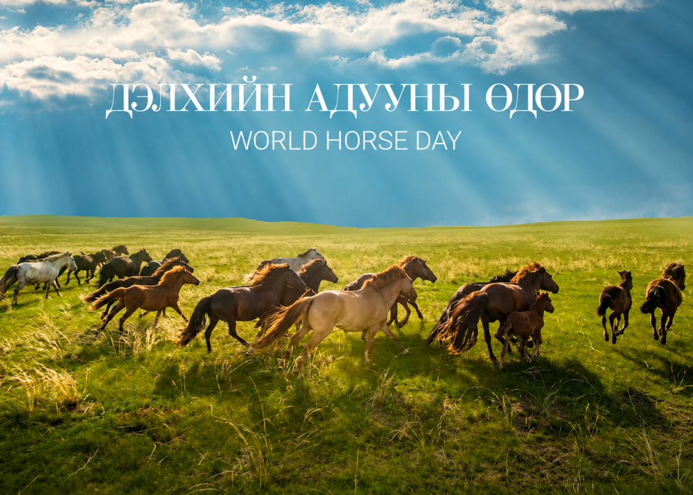 Дэлхийн адууны өдөр Хүй долоон худагт нээлтээ хийнэ