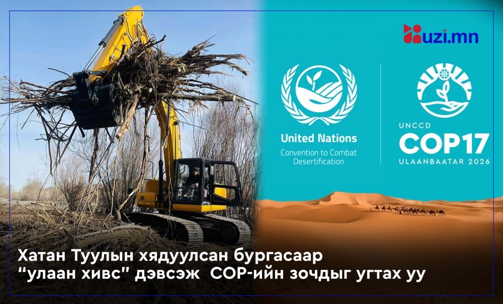 Хатан Туулын хядуулсан бургасаар “улаан хивс” дэвсэж  COP-ийн зочдыг угтах уу